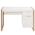 Computer Desk with Storage Cabinet and Pull-Out Drawer - Sturdy Design