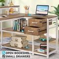 Contemporary L-Shaped Computer Desk with Drawer and Storage Shelf